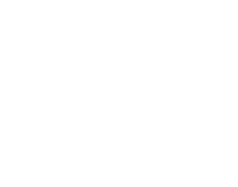 Hausbrandt